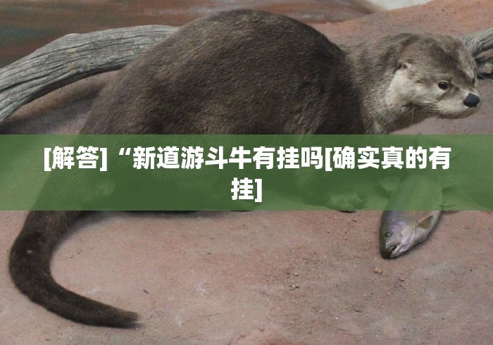 [解答]“新道游斗牛有挂吗[确实真的有挂]