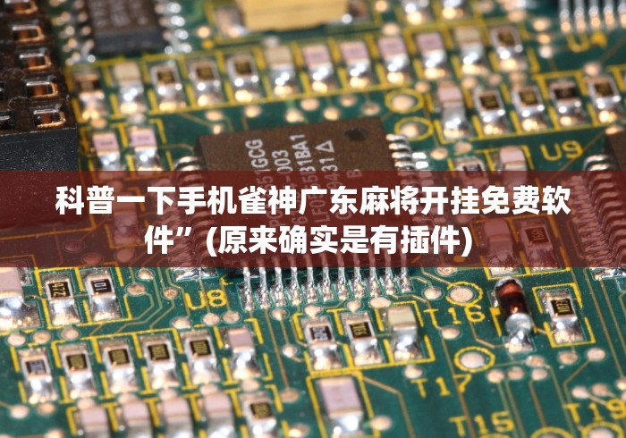 科普一下手机雀神广东麻将开挂免费软件”(原来确实是有插件) 