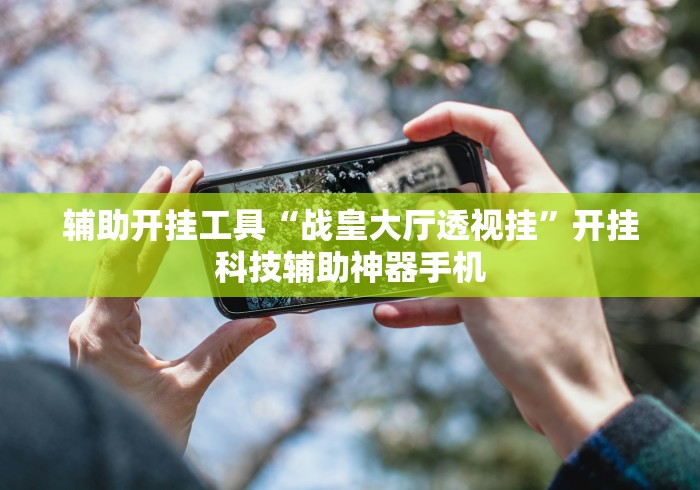 辅助开挂工具“战皇大厅透视挂”开挂科技辅助神器手机