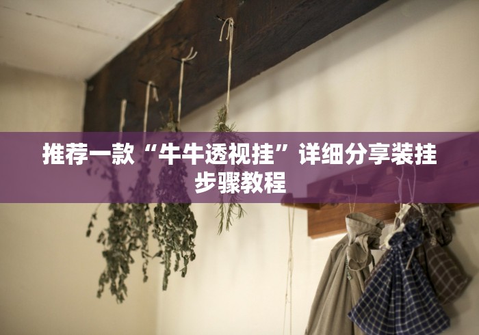 推荐一款“牛牛透视挂”详细分享装挂步骤教程