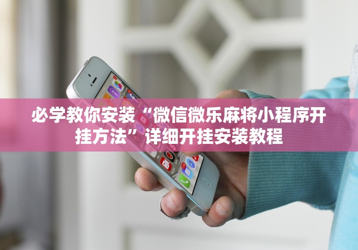 必学教你安装“微信微乐麻将小程序开挂方法”详细开挂安装教程