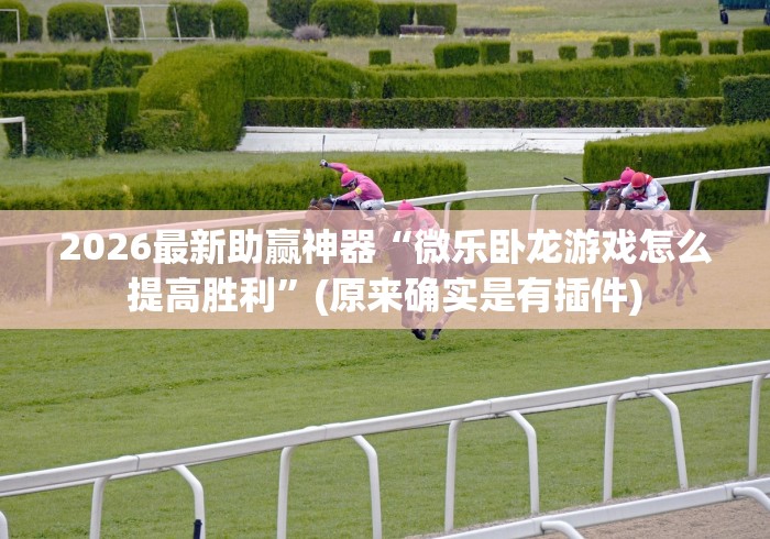 2026最新助赢神器“微乐卧龙游戏怎么提高胜利”(原来确实是有插件)