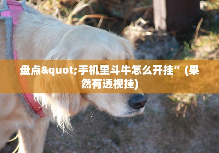 盘点"手机里斗牛怎么开挂”(果然有透视挂)