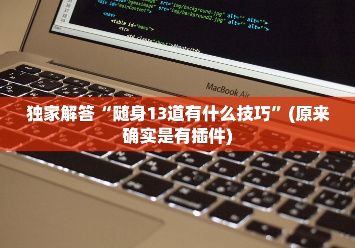 独家解答“随身13道有什么技巧”(原来确实是有插件)