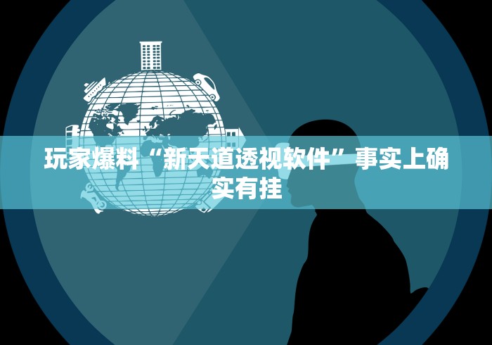 玩家爆料“新天道透视软件”事实上确实有挂