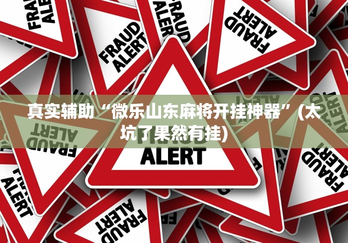 真实辅助“微乐山东麻将开挂神器”(太坑了果然有挂)