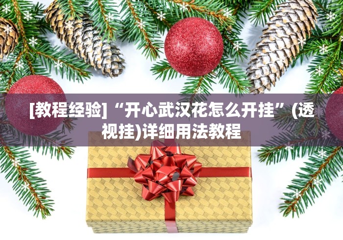 [教程经验]“开心武汉花怎么开挂”(透视挂)详细用法教程