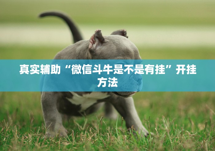 真实辅助“微信斗牛是不是有挂”开挂方法